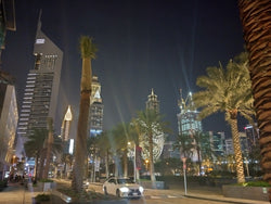 Arabien terveys 29.01-01.02.2024 / Dubai